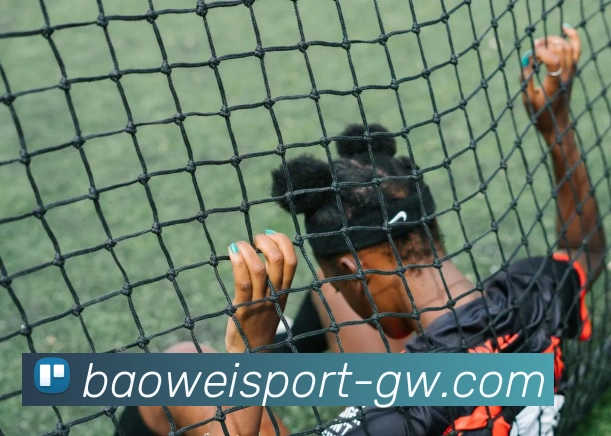 宝威体育APP 体育赛事宣传图